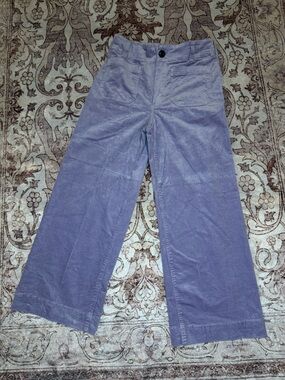Maeve by Anthropologie pants- size 28